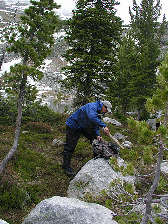 Montana '08