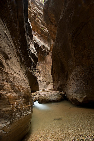 Zion National Park