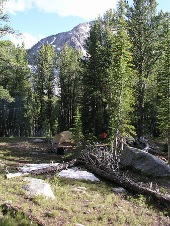Montana '08