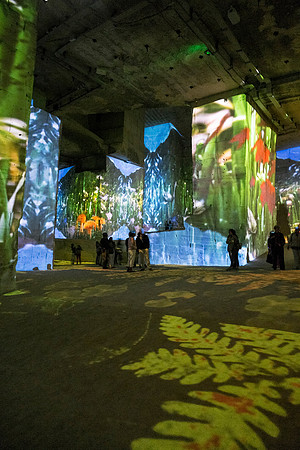 Carrieres de Lumieres, Les Baux