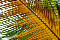 Nagoya Penninsula, Costa Rica