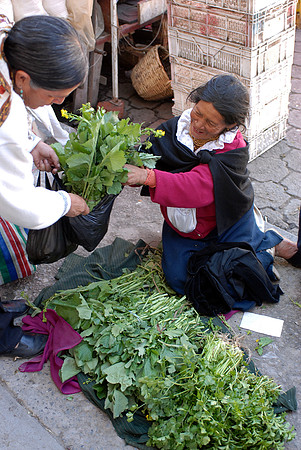 Otavalo Market, Equador