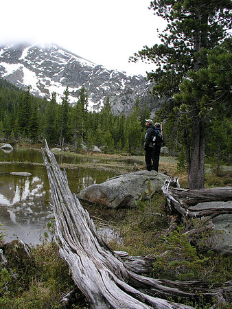 Montana '08