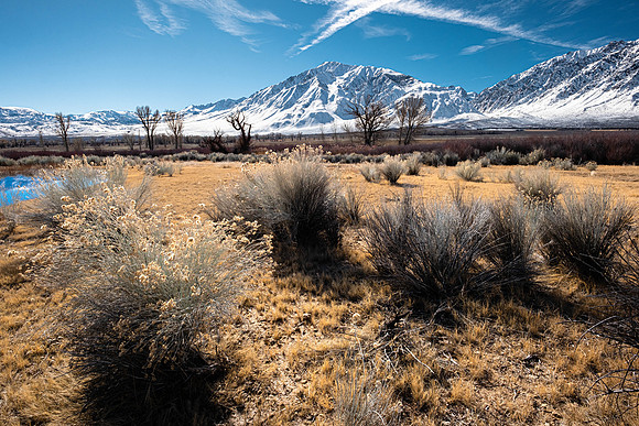 Owens Valley-10