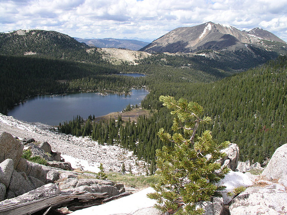 Montana '08