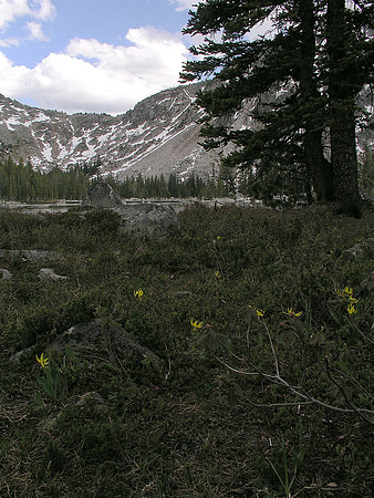 Montana '08