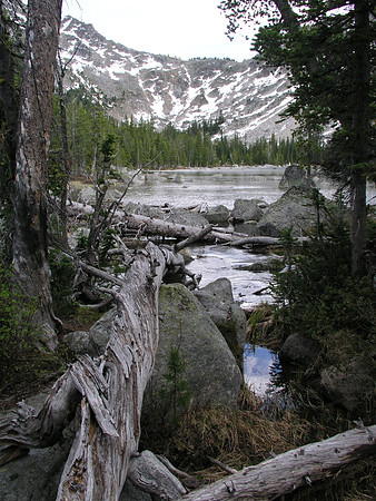Montana '08