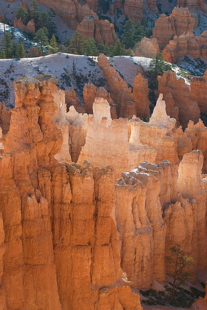 Bryce National Park