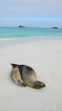 Galapagos, Day 2